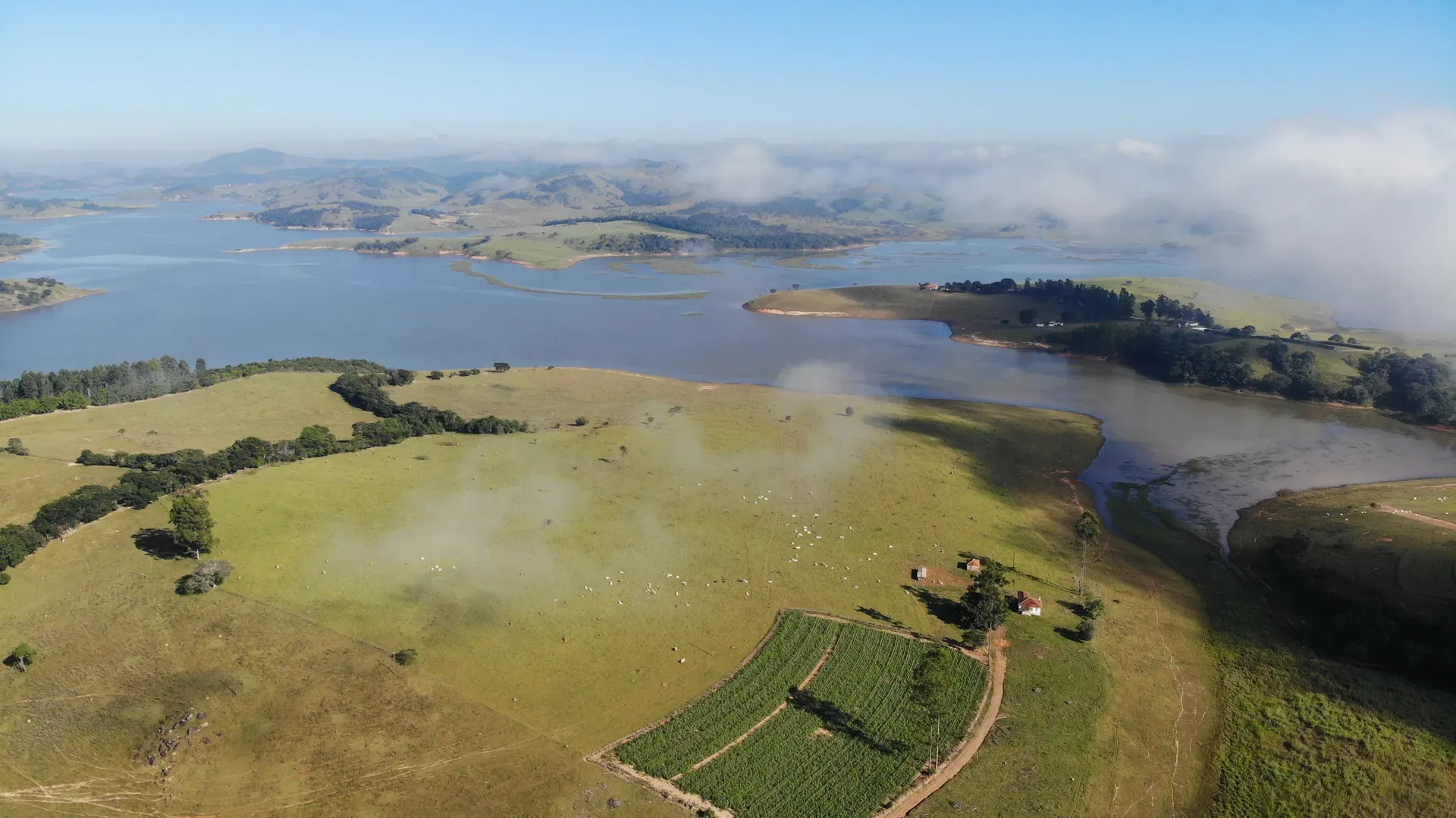Lavoura e pastagem com gado junto à sede da Fazenda Coelhos, à beira do lago, sob os morros do Sul de Minas