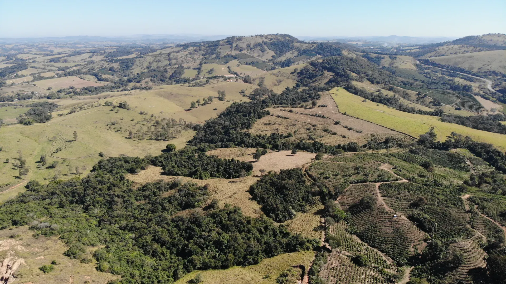 Vista aérea da área da Fazenda Ribeirão da Estrela, com pastagens, vegetação e lavouras de café no entorno, em Perdões/MG