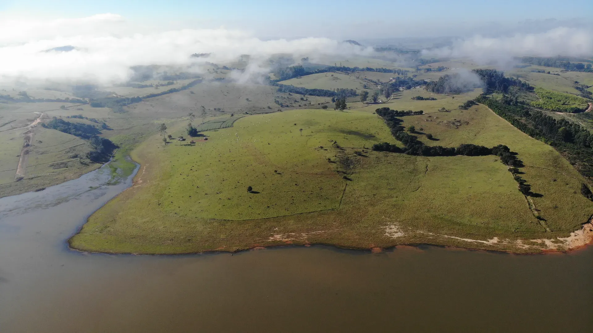 Península de pastagem da fazenda avançando sobre o lago, com gado e barranco de terra vermelha na margem