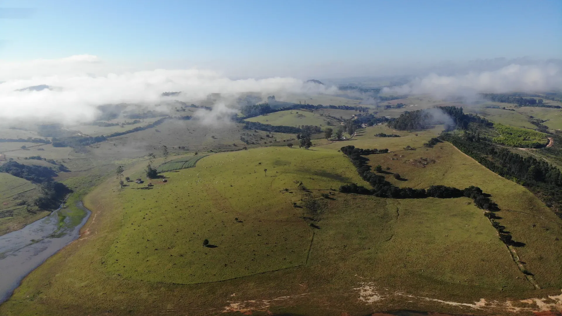 Pastagens onduladas da Fazenda Coelhos sob a neblina da manhã, entre os morros do Sul de Minas