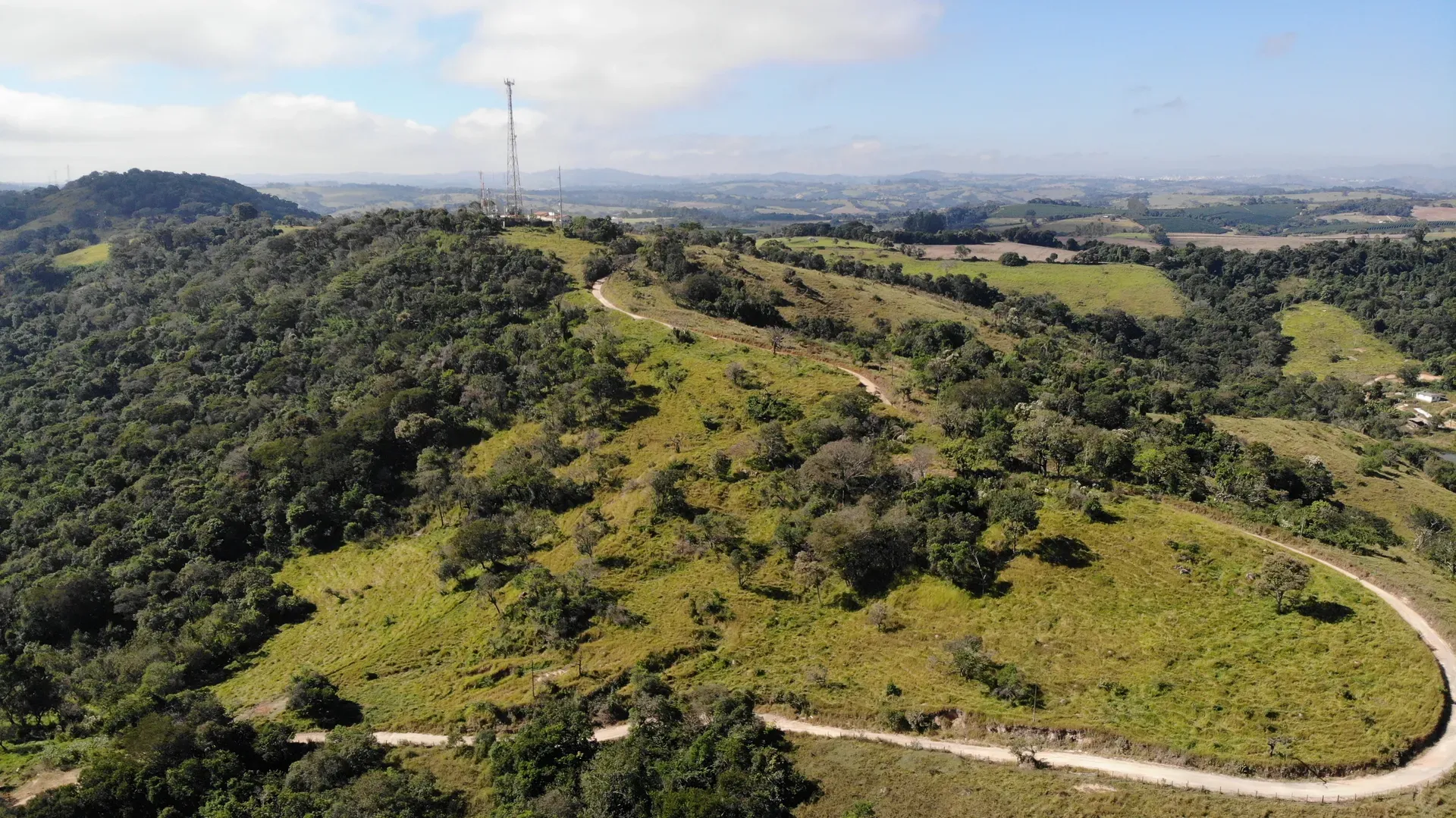 Vegetação do Terreno Inhame e estrada sinuosa de acesso, com torre na crista do morro